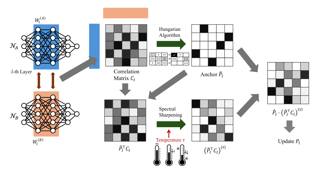 Layer-wise update: correlation matrix, Hungarian anchor, spectral sharpening of the anchored correlation with temperature tau, and the updated soft permutation.